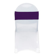 Stretch Spandex Chair Bands Eggplant (Pack of 10)